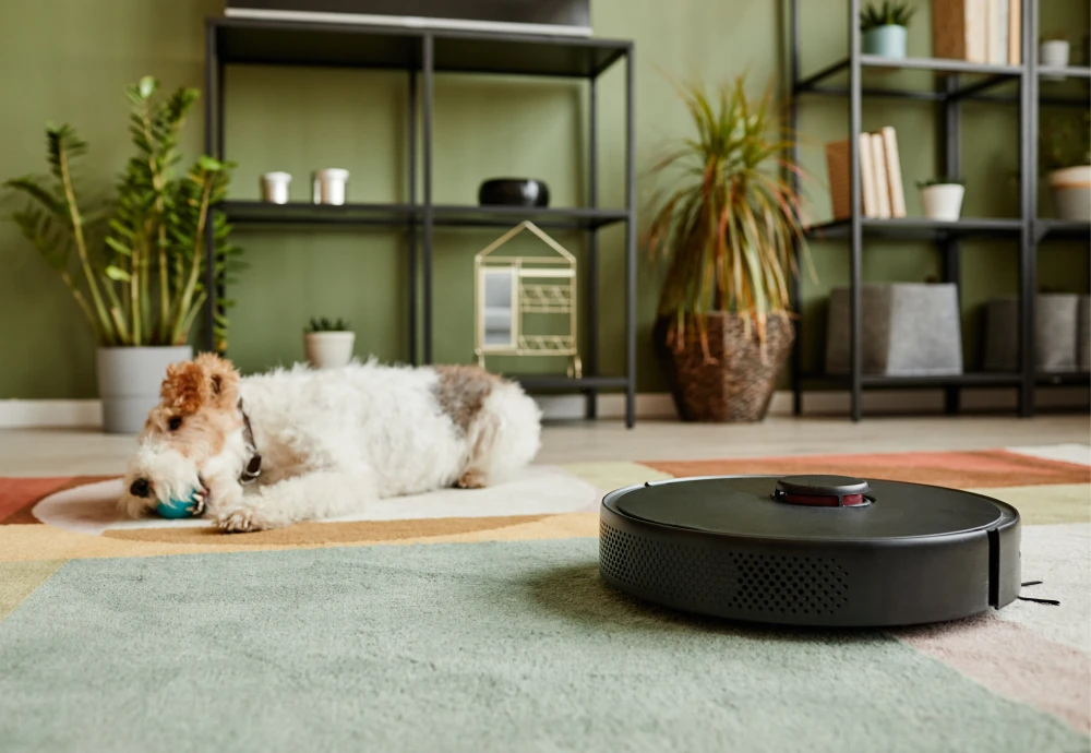 self docking robotic vacuum cleaner